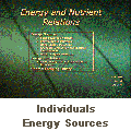Individuals - Energy Sources